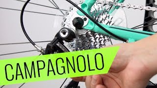 Campagnolo Xenon 10-fach Schaltung einstellen - einfach & schnell - Fahrrad.org