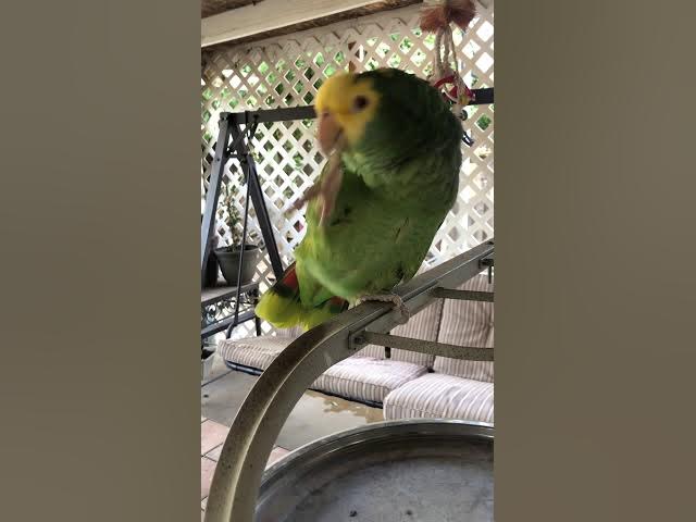 Жақында қынаптық порно Тұтқынмен ескі сарайдағы порно