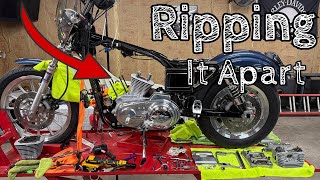 Harley Davidson Sportster 883 Teardown | HAMMER Performance 1275 Build (Episode 1)