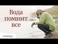 Вода помнит всё | Садхгуру