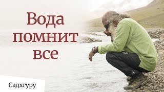 Вода помнит всё | Садхгуру