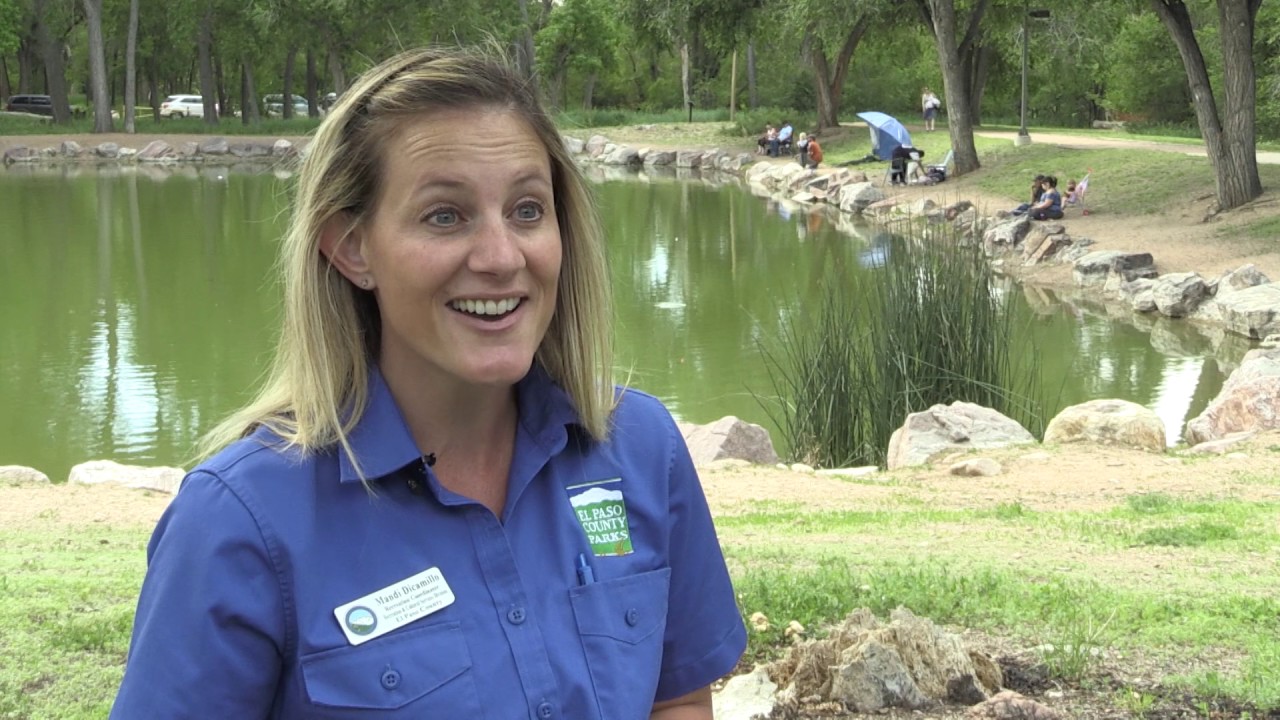 Youth Fishing Derby at Willow Springs Ponds YouTube