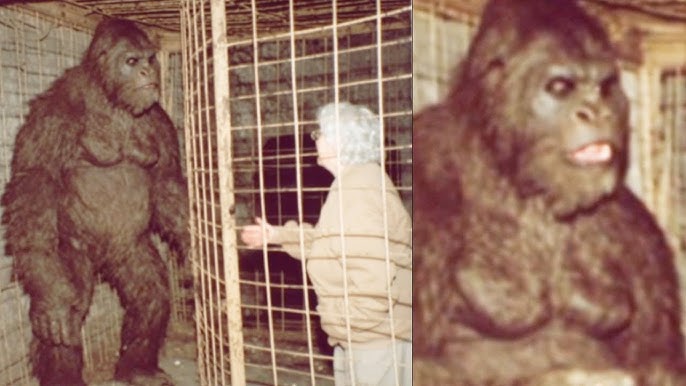 She Found a Massive Bigfoot Locked In a Cage Surrounded by Scientists – Sasquatch Story - YouTube