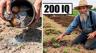 How Amish Revive Dead Soil Without Chemicals
