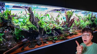 видео: ПРЕКРАСНАЯ Галерея Аквариумов и Палюдариумов в Японии!! картинка: ПРЕКРАСНАЯ Галерея Аквариумов и Палюдариумов в Японии!!