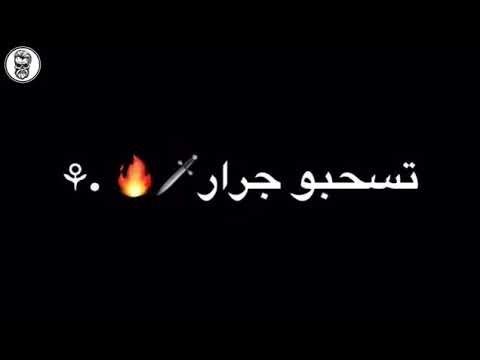 اليوم شكلكو صراصير