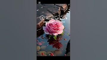 #قرآن #راحة_نفسية #تلاوة_خاشعة #اكسبلور #لايك #دويتو #shortvideo