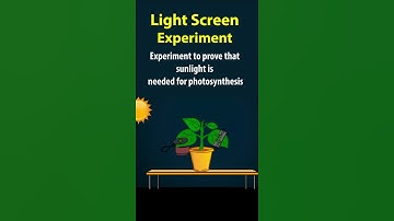 Light Screen experiment | #nutrition  10th biology  | AP & TS syllabus |10th science ch-1