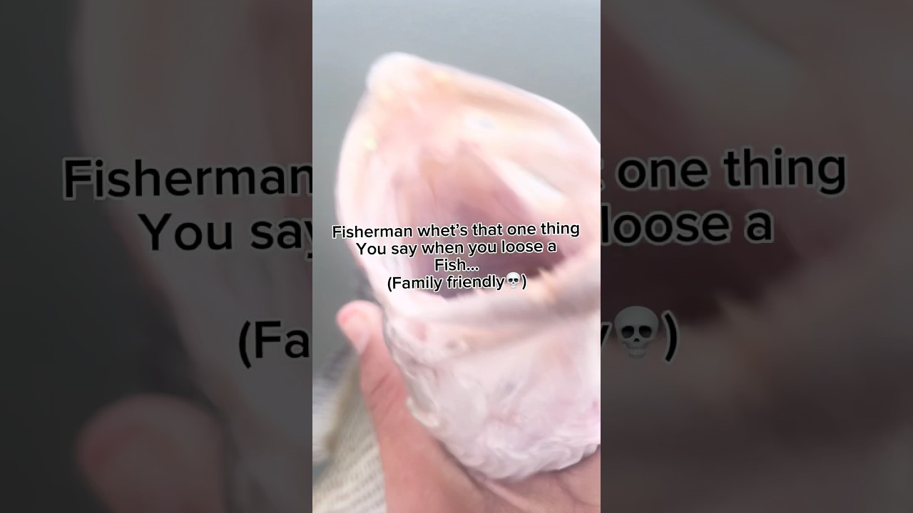 Family friendly…👀🗣️.                          