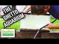 How to setup a ghetto aquarium the im broke aquarium quick  easy