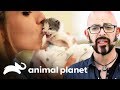 ¡Es día de adopción! | Mi gato endemoniado | Animal Planet