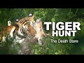 Surreal Tiger Hunt in Kabini 🐅