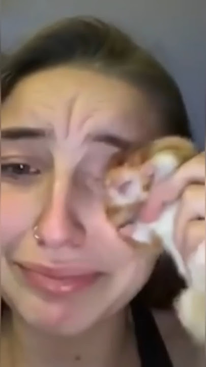 Misunderstanding between hamster and its owner 😓