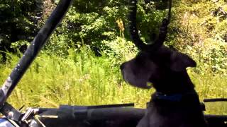 Scottie Rides Again part 1