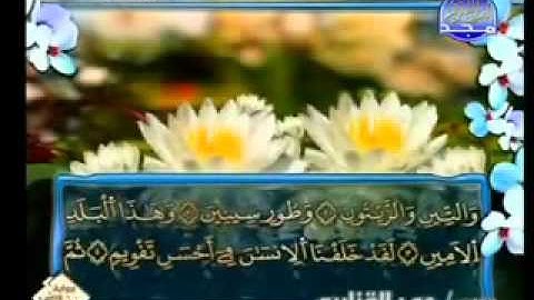 سورة التين الشيخ عمر القزابري