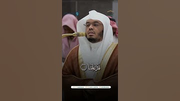 مقتطف من تلاوة فضيلة الشيخ أ.د. #ياسر_الدوسري من صلاة الفجر 12 جمادى الأولى 1446هـ.