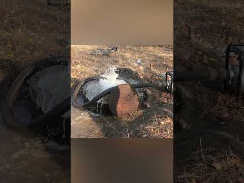 Мотопомпа просто Зверь!