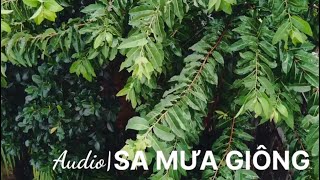 Video thumbnail of "Sa mưa giông | Audio Official"