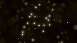 SMALL LITTLE ORANGE LIGHTS 4K RELAXING SCREEN SAVER BACKGROUND FOR GREEN SCREEN