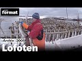 Lofoten: Ohne Dorsch kein Stockfisch - Dokumentation von NZZ Format (2005)