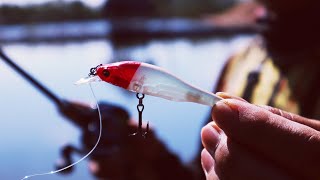 Jerkbait Fishing Technique And Tips