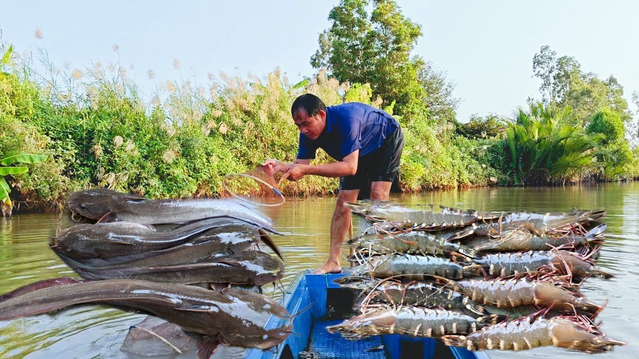 Đổ Lú Dưới Sông Chạy Tôm Cá Quá Nhiều 