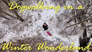 Dogwalking in a Winter Wonderland - Join me for a 360 walk on a snowy Canadian New Year's Day by Brian 360 156 views 3 months ago 13 minutes, 29 seconds