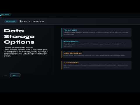 Node.js High Performance - Ch05: Data Storage & Excessive I/O
