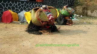 IGEL BARONG SUNDA NGORA ( SI BALI)