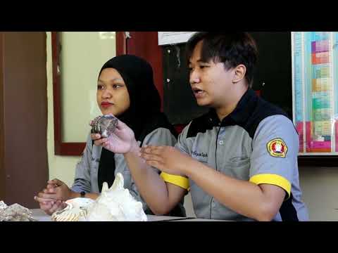 Pengenalan Kehidupan Kampus Bela Negara Universitas Pembangunan Nasional Yogyakarta, Teknik Geologi