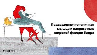 видео: Растяжки от доктора Ильясова, УРОК 3: Подвздошно-поясничная мышца и напрягатель широкой фасции бедра картинка: Растяжки от доктора Ильясова, УРОК 3: Подвздошно-поясничная мышца и напрягатель широкой фасции бедра