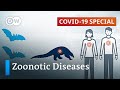 How to prevent the next zoonotic pandemic? | COVID-19 Special