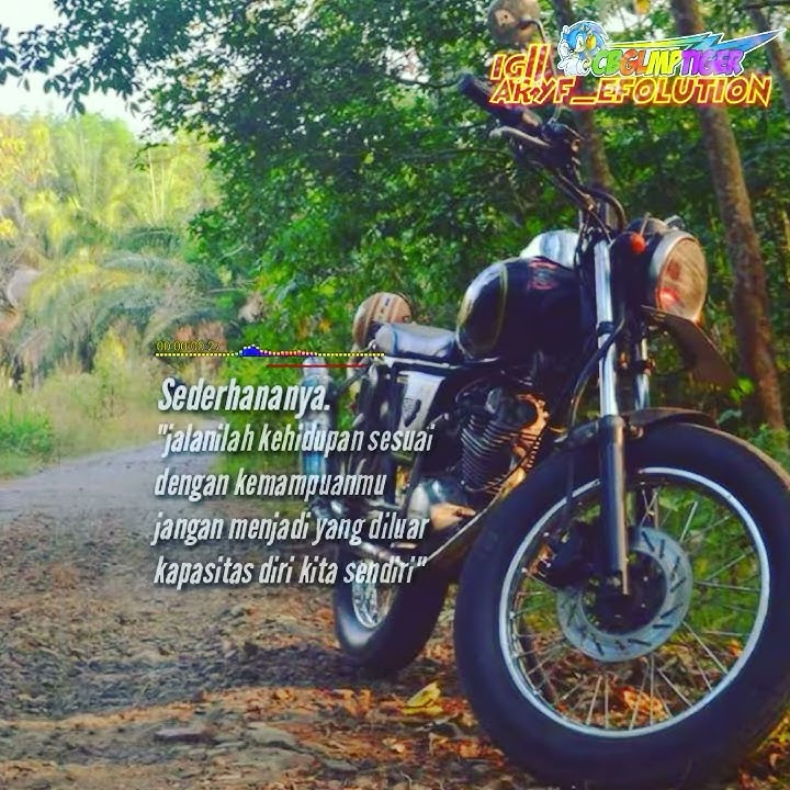 Story wa,Cb,gl,mp,tiger