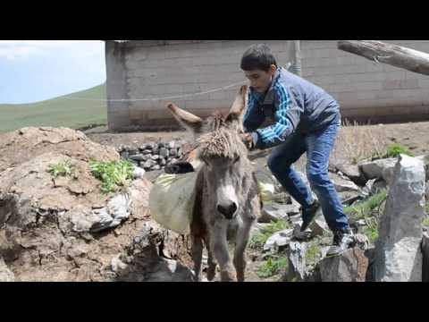 KIRAÇ. Eşeği Saldım Çayıra. KARS IĞDIR versiyonu çok KOMİK