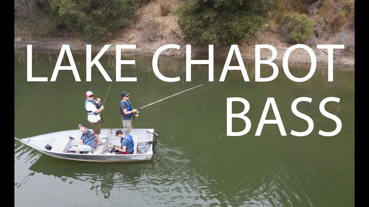 Largemouth Bass from Lake Chabot !!! 