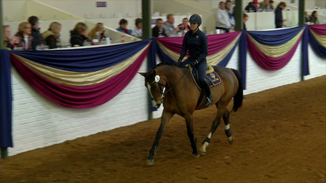 Callaho Auction 2017