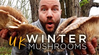 UK Winter Mushroom Foraging on New Years Day 2022 in Bristol, England.