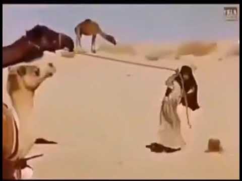 قلت يابنت حنا بدون