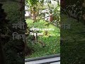 নবীজির চমৎকার কিছু কথা 🤲 #shorts #viral #islamic #trending #short #video #religionম