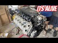 Building the Ultimate Stock Motor Coyote Gen 3-2-1 Build First Start