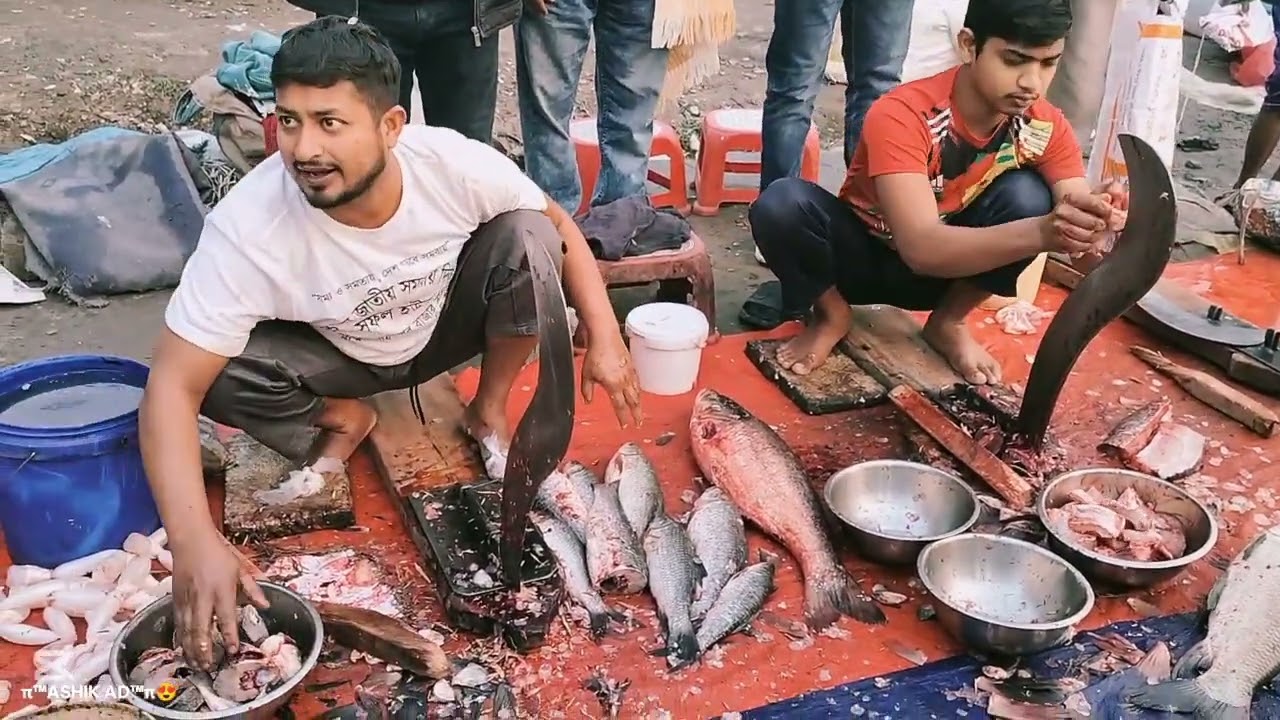 কিভাবে মাছ কাটতে হয়  