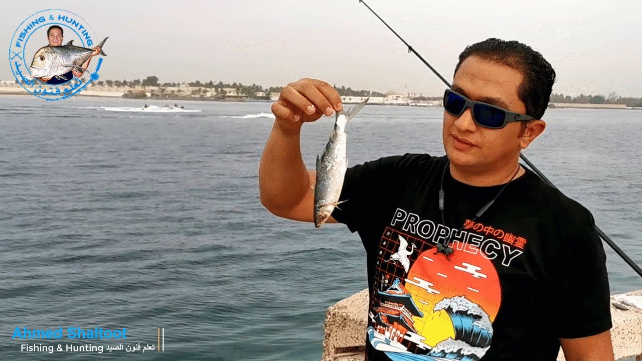 طريقة استهداف اسماك الهامور والشعفن