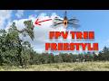 DROHNE im HÖCHSTEN BAUM VERSENKT 🌲😭🚁 | FPV TREE FREESTYLE 