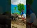 Indian Village Teen Girl Ploughing Filed Hal Jot Ti Bailon Se Beautiful Indian Girl