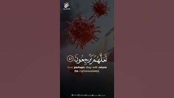 ظَهَرَ الْفَسَادُ فِي الْبَرِّ وَالْبَحْرِ بِمَا كَسَبَتْ اَيْدِي النَّاسِ #رعد_الكردي #سورة_الروم