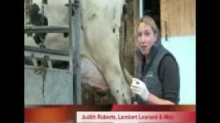 How to take a sterile milk sample