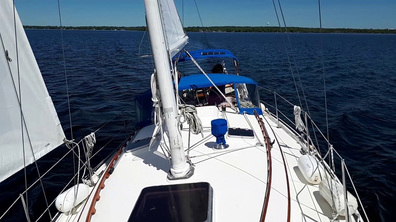 aloha sailboat review