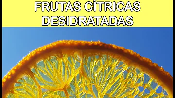 Como fazer limão desidratado microondas?