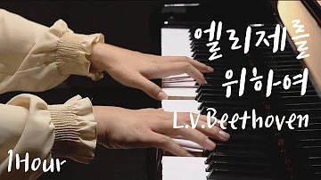 [1Hour] 엘리제를 위하여 (Fur Elise) - 베토벤 (L.V.Beethoven)