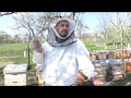 Расширяем пчелосемьи и ставим кормушки 15.04.2019